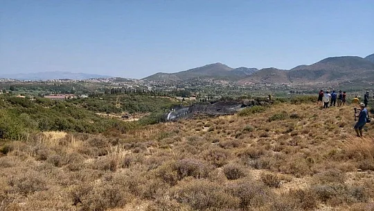 Datça'daki yangında 2 dönüm makilik alan zarar gördü