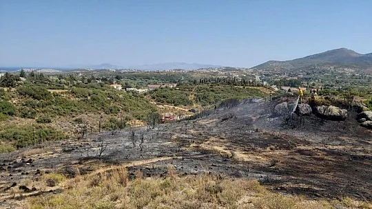 Datça'daki yangında 2 dönüm makilik alan zarar gördü