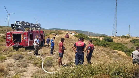 Datça'daki yangında 2 dönüm makilik alan zarar gördü