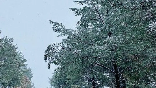 Datça'nın yüksek kesimlerine kar yağdı
