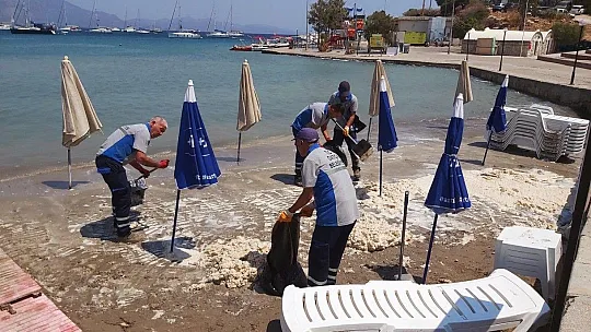 Datça sahilinde tedirgin eden görüntü