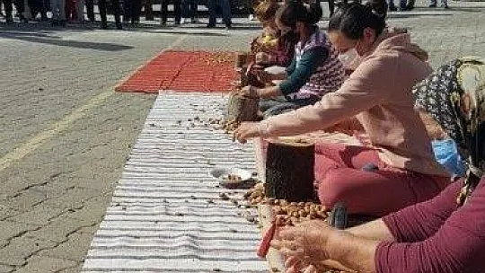 Datçalılar 'Badem Çiçeği Festivali' kapsamında birbirleri ile yarıştı