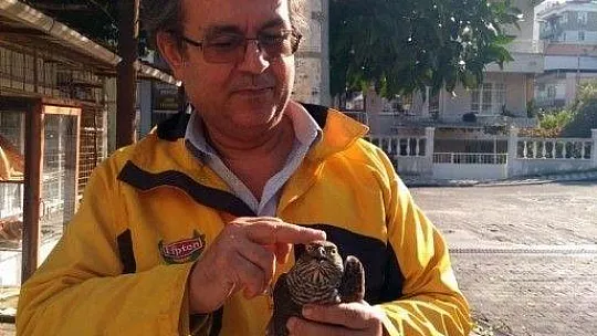 Davetsiz misafir doğaya salındı