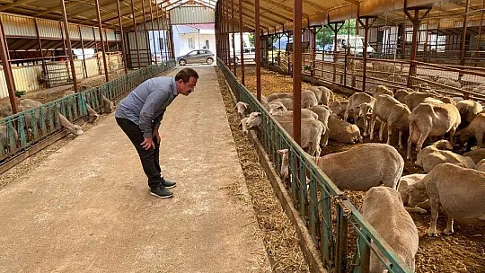Başkan Öztürk, üreticinin sorunlarını dinledi