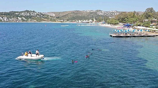 Deniz dibi temizliği Bitez'de devam etti