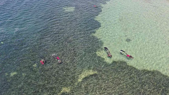 Deniz dibi temizliği Bitez'de devam etti