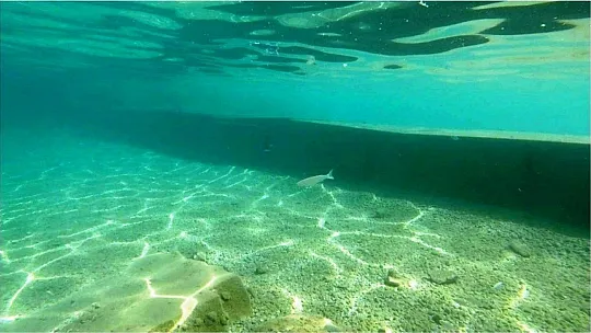 Deniz dibindeki duvarlar gün yüzüne çıktı