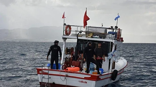 Deniz patlıcanında kota 40 kilo