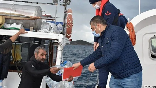 Deniz patlıcanında kota 40 kilo