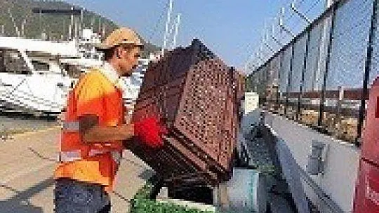 DENİZ SÜPÜRGELERİ 45 GÜNDE 5 TONDAN FAZLA ÇÖP TEMİZLEDİ