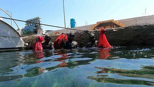 Deniz yüzeyi ve dibi pırıl pırıl oldu