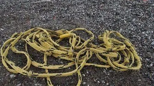 Denizde başlayan eğlenceli uçuş, otelin çatısında son buldu