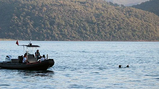 Denizde kayıp ihbarı sonrası arama
