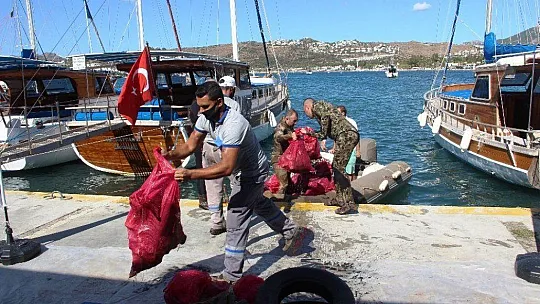Denizden 2 saatte 300 kilogram çöp çıktı