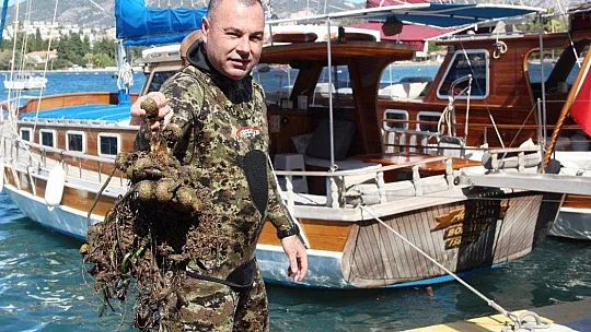 Denizden 2 saatte 300 kilogram çöp çıktı