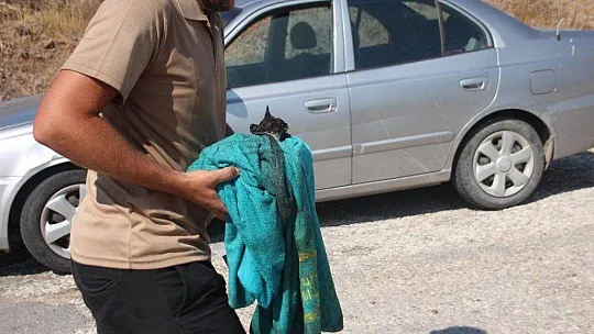 Denizden çıkan turistler yangını söndürmeye gitti