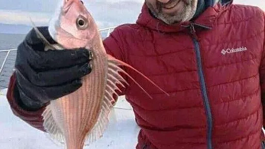 Denize giren turist balık tutmayacak, balık tutan turist denize giremeyecek