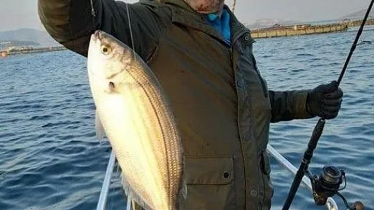 Denize giren turist balık tutmayacak, balık tutan turist denize giremeyecek