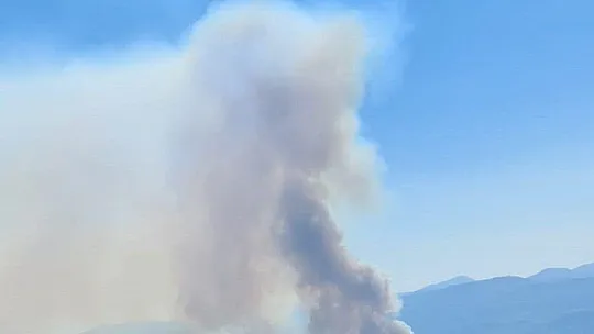 DENİZLİ - MUĞLA İL SINIRINDA ORMAN YANGINI