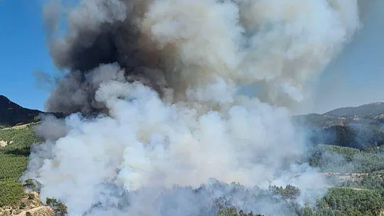 DENİZLİ - MUĞLA İL SINIRINDA ORMAN YANGINI