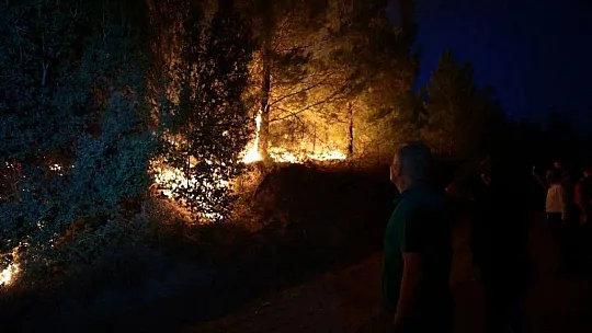 Denizli - Muğla sınırında dün öğlen başlayan yangın kontrol altına alındı