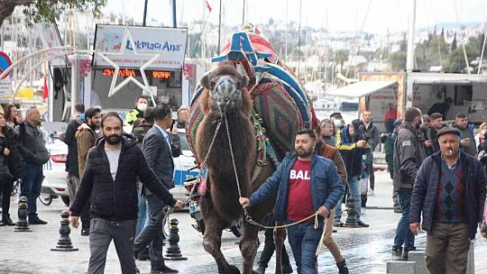 Develeri gören telefona sarıldı