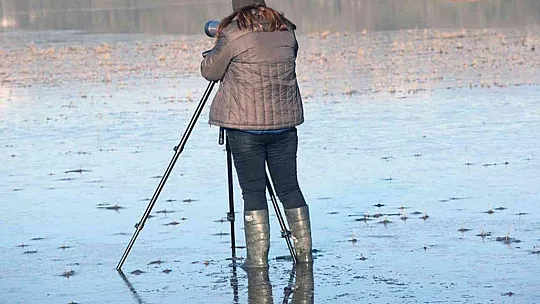 DKMP'den kış ortası su kuşu sayımı