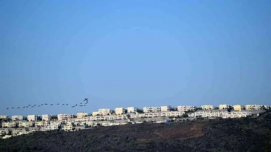 DKMP'den kış ortası su kuşu sayımı