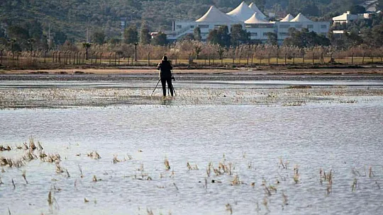 DKMP'den kış ortası su kuşu sayımı