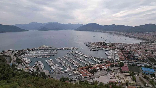 Doğa dostu bisikletçiler yanan ormanlar için pedal çevirip fidan dikecek