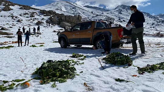 Yaban hayatına destek verdiler