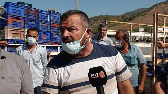 Çiftçiler isyanda Salatalık başka şehirde 2.50, Fethiye'de 80 kuruş