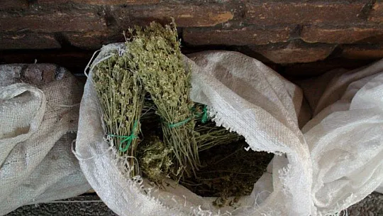 AKTAR TOPÇU, 'KIŞ ÇAYLARI SOĞUK ALGINLIKLARINA İYİ GELİR'