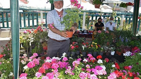 Börülce ve Köy Patlıcanı Kilosu 20 TL'den satıldı