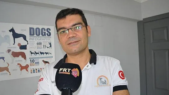 OKLU KİRPİYİ YAŞAMA DÖNDÜRDÜLER