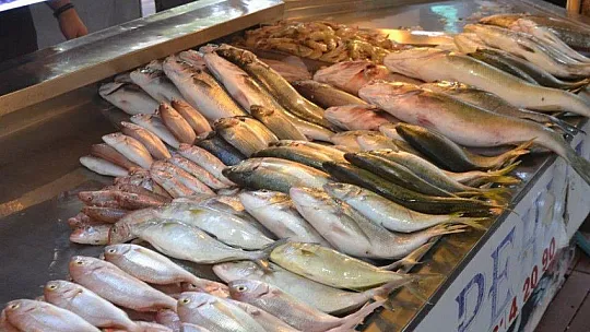 Av yasakları Akdeniz'de 15 Eylül'de, diğer denizlerde 1 Eylül'de kalkıyor