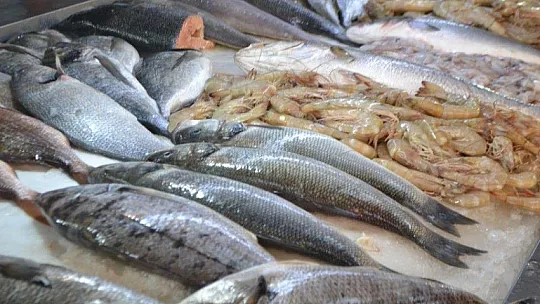 Av yasakları Akdeniz'de 15 Eylül'de, diğer denizlerde 1 Eylül'de kalkıyor