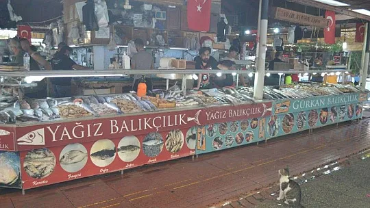 Av yasakları Akdeniz'de 15 Eylül'de, diğer denizlerde 1 Eylül'de kalkıyor