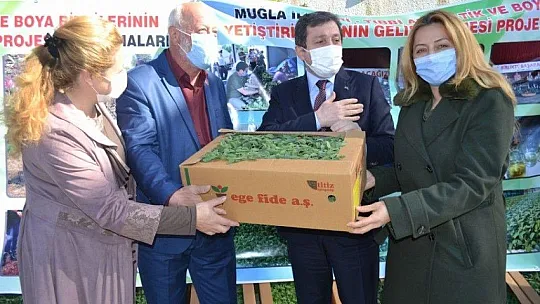 Fethiye'de Aromatik Bitkiler Bayramı