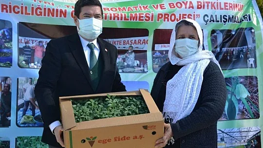 Fethiye'de Aromatik Bitkiler Bayramı