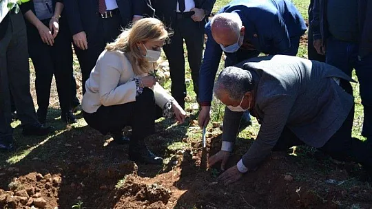 Fethiye'de Aromatik Bitkiler Bayramı