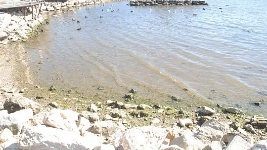 Ördek Adası ilgi bekliyor