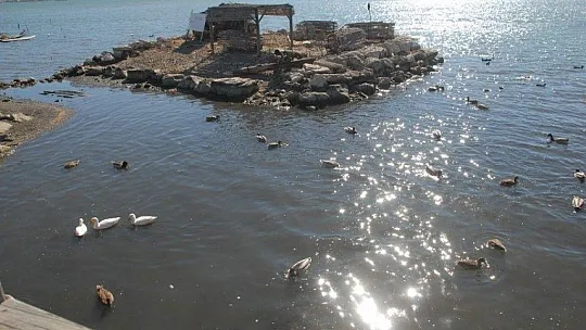 Ördek Adası ilgi bekliyor