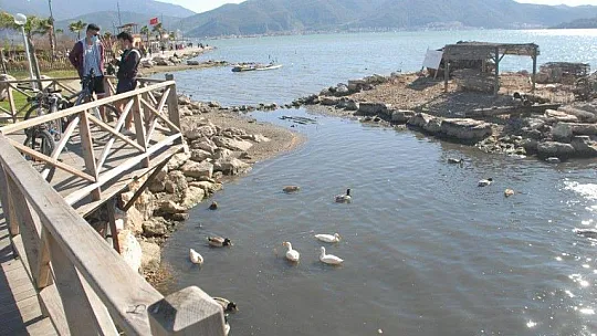 Ördek Adası ilgi bekliyor