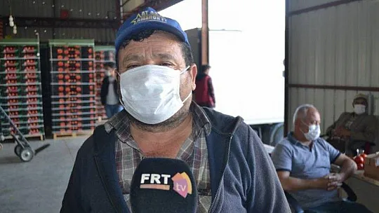 Domateste ihracat hız kesmiyor