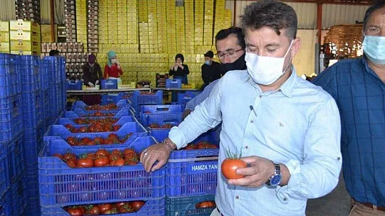 Domateste ihracat hız kesmiyor