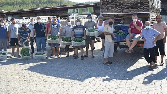 Çiftçiler isyanda Salatalık başka şehirde 2.50, Fethiye'de 80 kuruş
