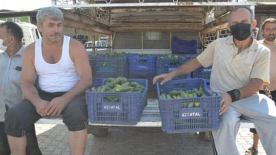 Çiftçiler isyanda Salatalık başka şehirde 2.50, Fethiye'de 80 kuruş