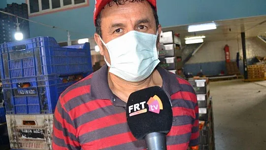 Fethiye bölgesinden günlük 2 bin ton domates gidiyor