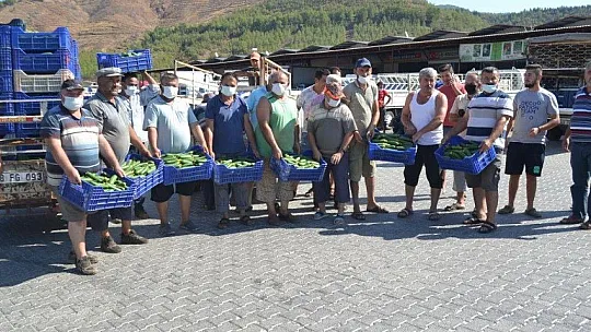 Çiftçiler isyanda Salatalık başka şehirde 2.50, Fethiye'de 80 kuruş